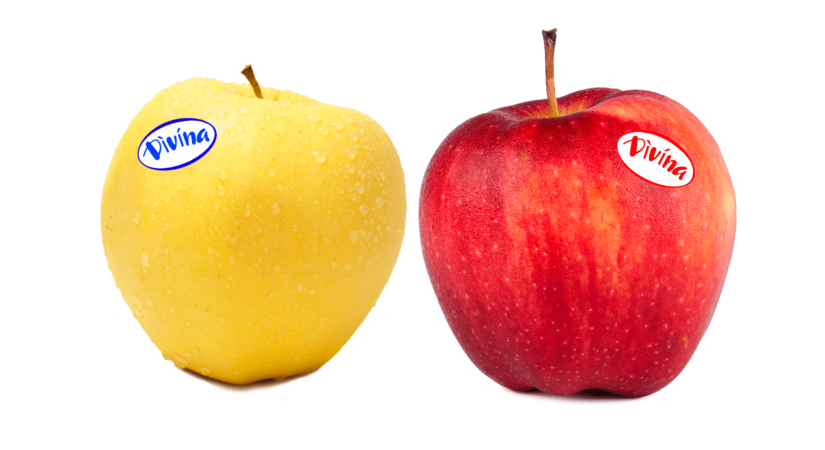 apples8 apples8